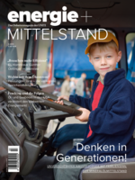 Ausgabe 03-2013