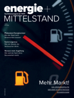 Ausgabe 01-2013